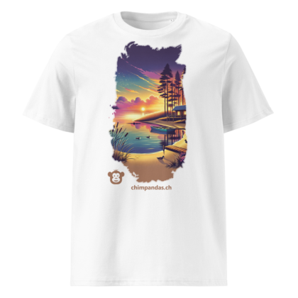 930-whimsical-dolphin